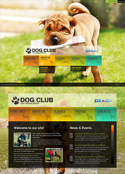 Dog Training HTML5 template ID:300111382