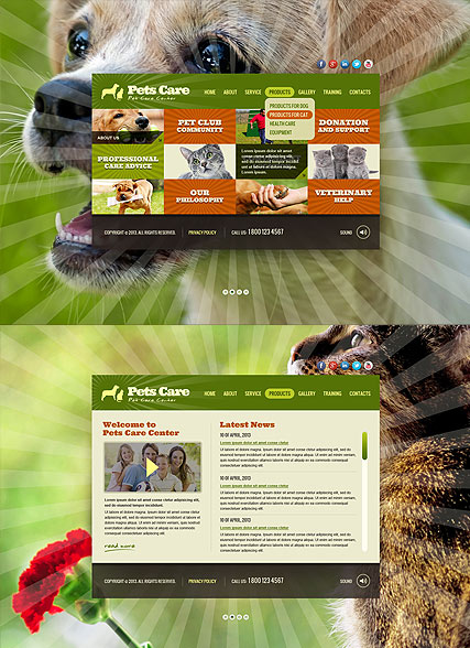 Pet Care Service HTML5 template ID:300111627